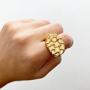 Anillo Poza Ovalada - Oro